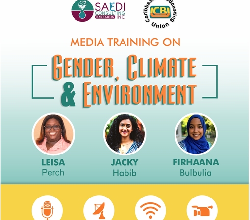 SAEDI Consulting Barbados Inc - Caribbean Reporters Learn About Gender and Environment Through SAEDI Media Training