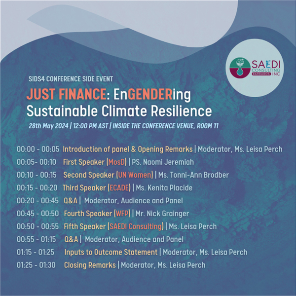 SAEDI Consulting Barbados Inc: Interactive Dialogue Theme - Making Climate Finance work for SIDS: Building on the Outcomes of UNFCCC COP 28 