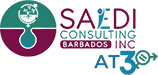 SAEDI Consulting Barbados Inc - Logo