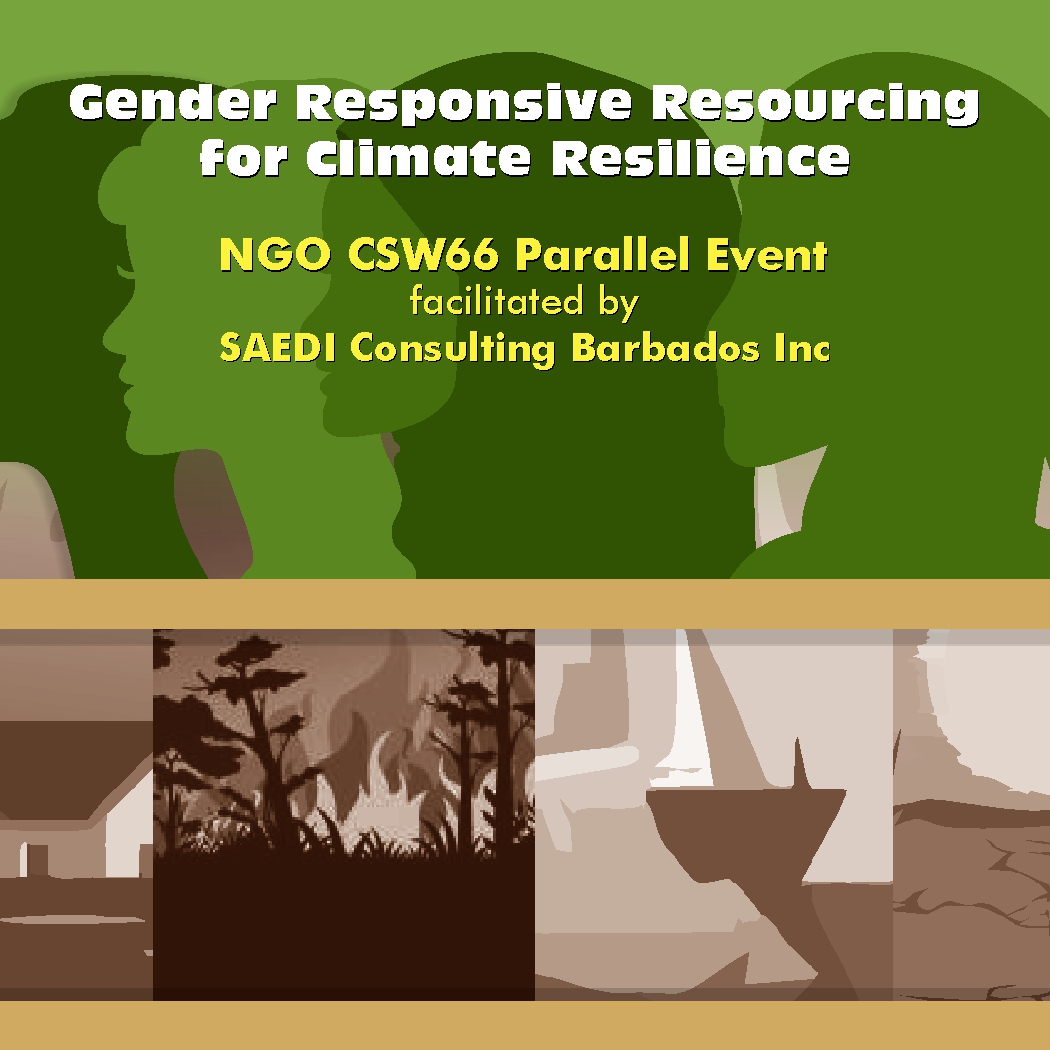 Saedi Consulting Set To Host Csw66 Parallel Event Saedi Consulting Barbados Inc 7915